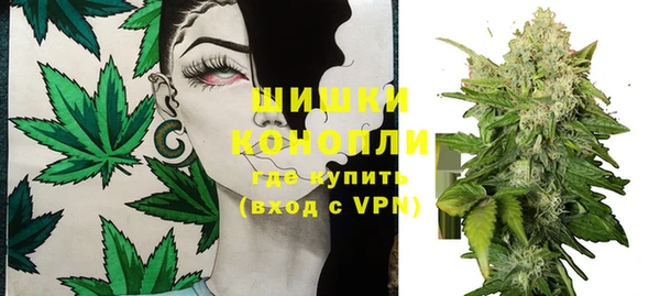 дурь Лагань