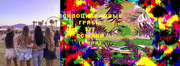 ешки Чита