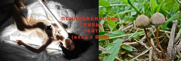 СК Краснослободск