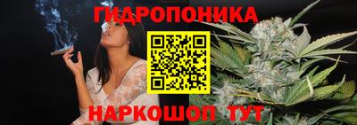 молекула духа Кулебаки
