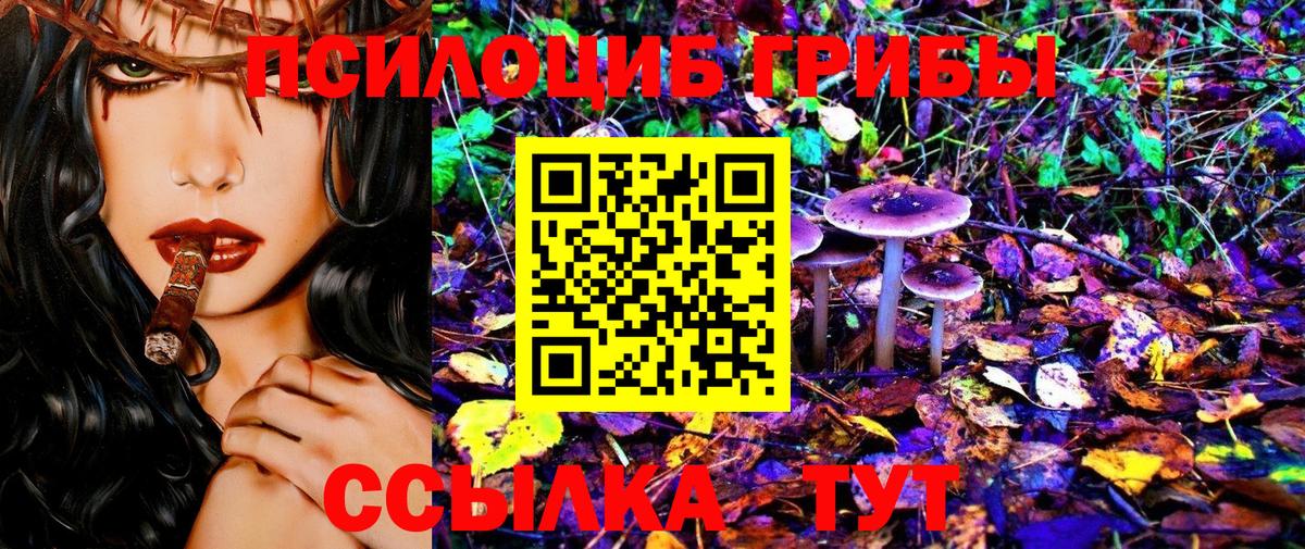 Клинцы  закладка  Вход с VPN  Псилоцибиновые грибы Psilocybe  Псилоцибиновые грибы ЛСД 