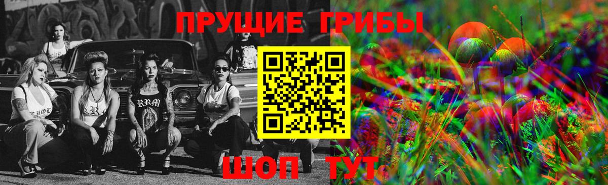 Галлюциногенные грибы Psilocybine cubensis Клинцы